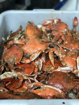 We have fresh crabs daily, male and female options vary by season. Call ahead to confirm.