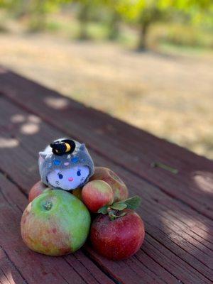 Stone Pantry Orchard