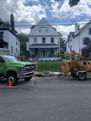 Tree gone!  Fun to watch them work.