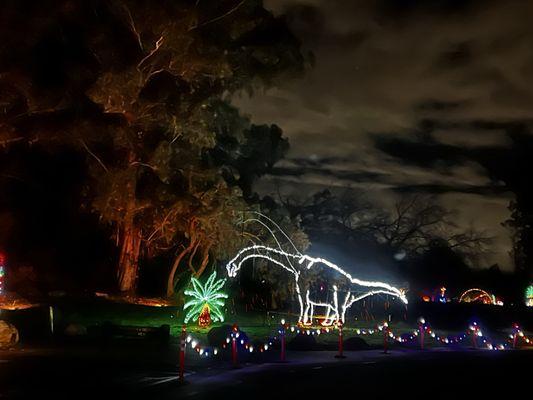 Dinosaurs at Fantasy Lights