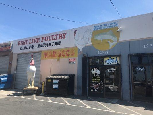 Best Live Poultry & Fish