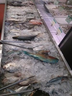 Fresh fish