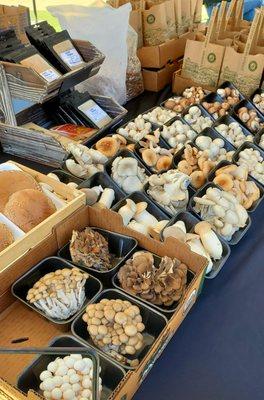 Grown in Escondido mushrooms