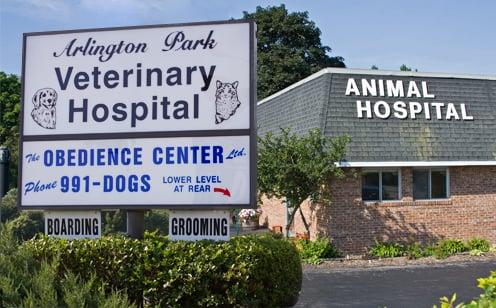 Arlington Park Veterinary Hospital