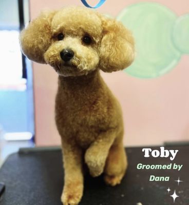 Toby!