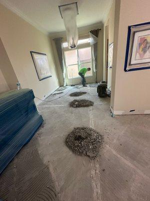 Water Damage Restoration Tampa & Flood Clean-Up Service