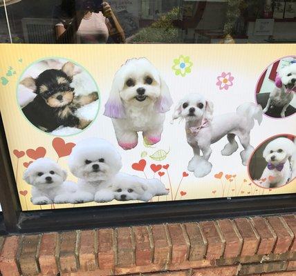 Bria looking cute on the store front sign