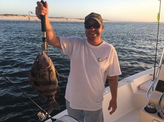 Nice Sheepshead