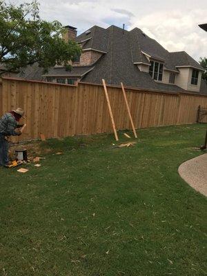 Fence on progress by Asian garden and irrigation by design contractor