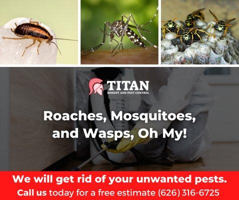 At Titan, we will get rid of your unwanted pests and rodents. Call us today to schedule a free inspection (626) 316-6725.