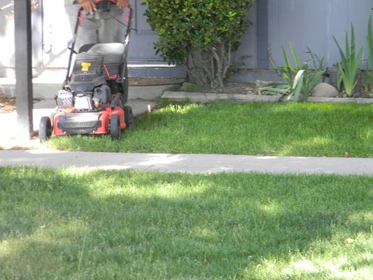 Weekly or Bi-weekly Mowing, edging, trimming services. Pruning for trees and shrubs and clean up availble