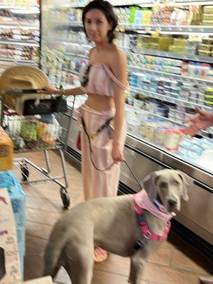 .  Manager allowed her to continue to shop with her non service dog.