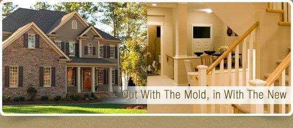 Your local Mold remediation specialists. Call the professionals when it matters most!