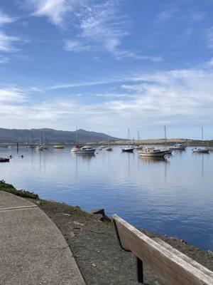 Estuary of Morro Bay.