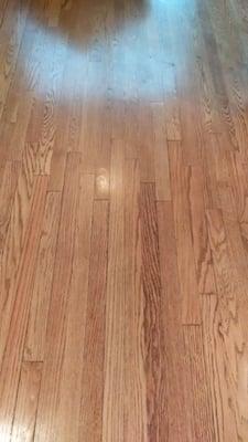 The kitchen wood floor is cleaner than ever, and it feels smooth to the touch again.