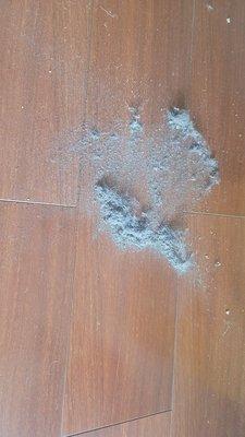 Photo 1 of 2: When we got home, we patted the rug down and noticed a ton of dust coming out.