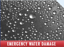 Emergecy water damage services. Experts in drying from broken pipes,toilet overflows, roof leaks and Sewerage cleanup.