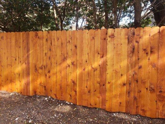 Cedar fence stain and sealed, call or text about best fence staining price on a new fence.