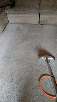 Dirty carpets in the living room?

No problem!