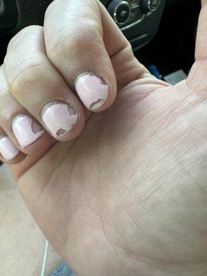 6 days pot manicure (may)