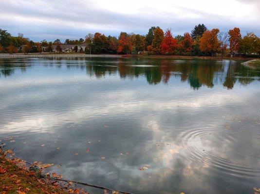 Fall at the lake