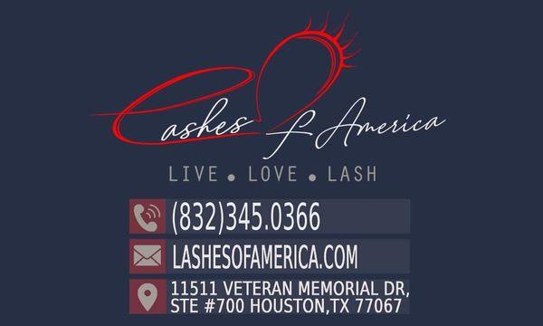 Live - Love - Lash