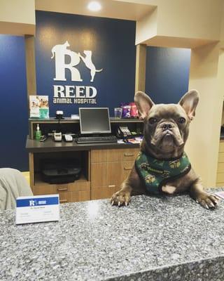 Lincoln will be ready to greet you and your pet on your visit!