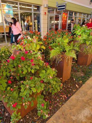 Lovely flower decorations.