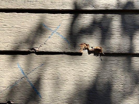 Siding damage by repair person on wall identified as damaged by inspector