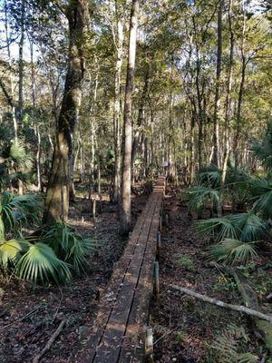 Platform boardwalk off trail 10 parkway entrance