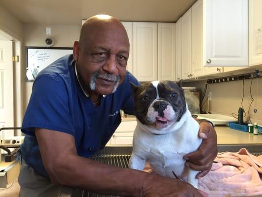 My Frenchie, STARR, with Dr Boldon.