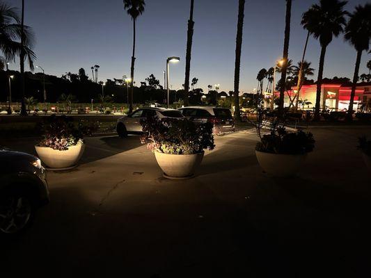 Planters blocking restricted parking, lit by my headlights. Otherwise, the planters are invisible in the dark before dawn.