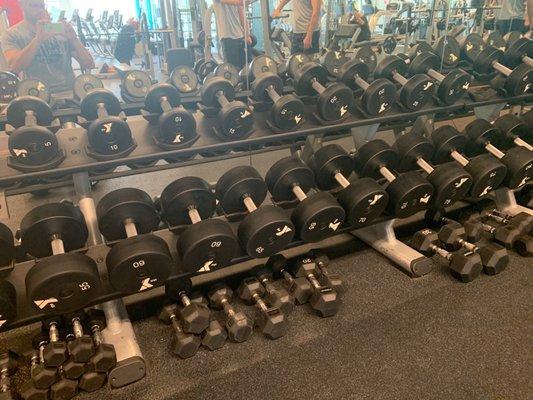 Free Weights.