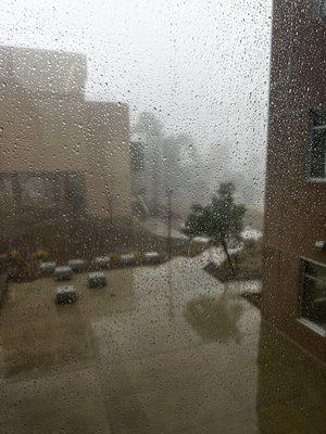 Rainy day at Merritt College