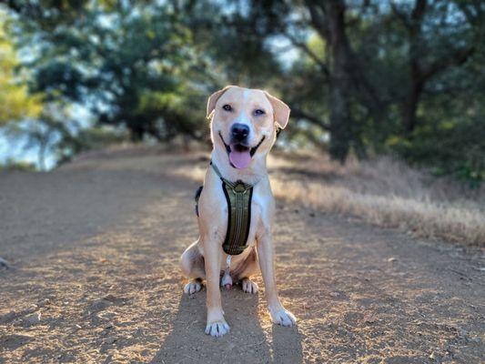 Almaden Quicksilver County Park