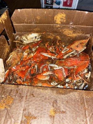 Medium Male Crabs