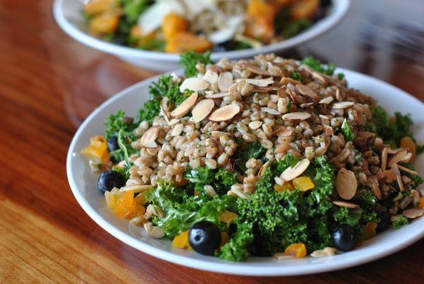 Vegan Kale Salad