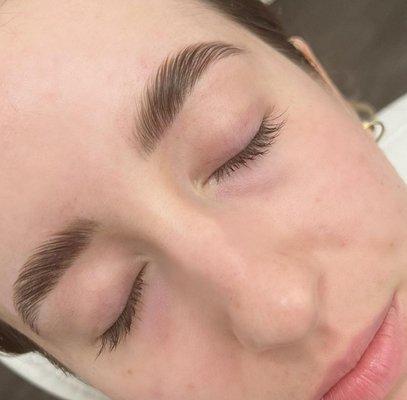 Gorgeous Eyebrow Lamination