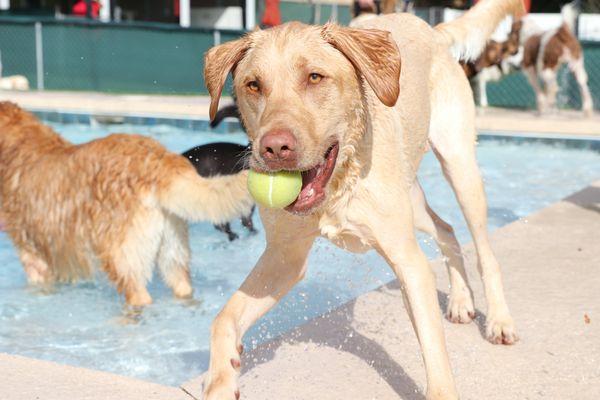 Emmett loves pool time!