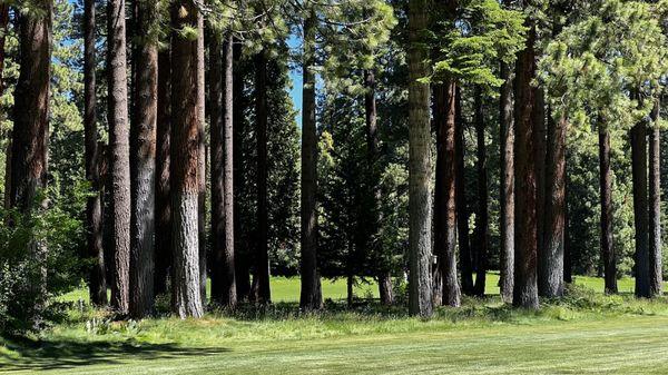 Old Brockway Golf Course