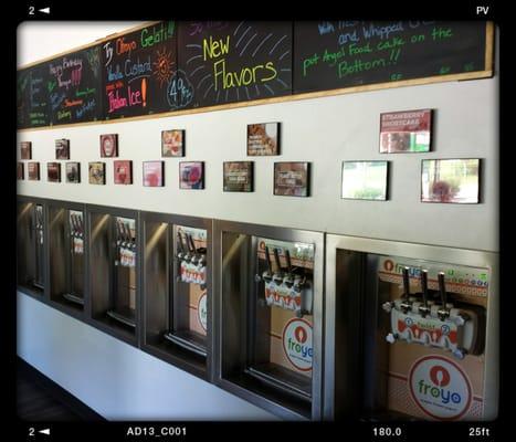 12 froyo flavor options