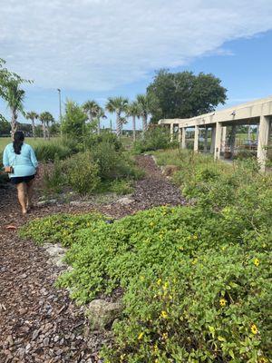 Little trail walking through a butterfly garden