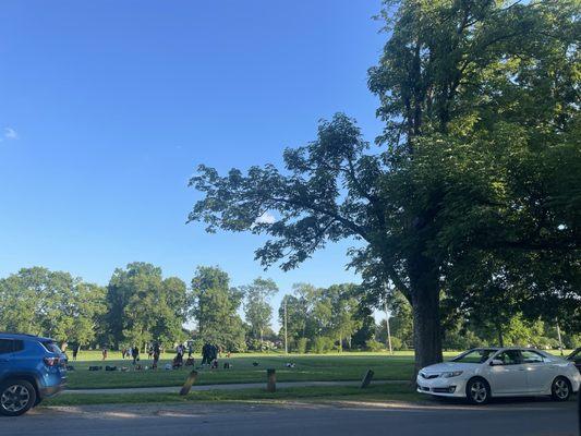 Typical weekday evening at Seneca Park. Sports teams. Walkers. Runners. That's a women's football team in the grass.