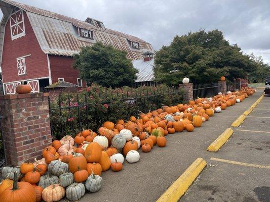 Thistledown Farm