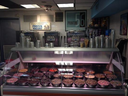 Frozen Yogurt and toppings section.