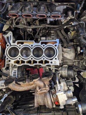 Cylinder Head Gasket