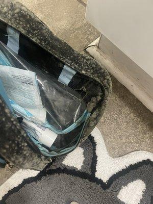 Mold infested toiletry bag.