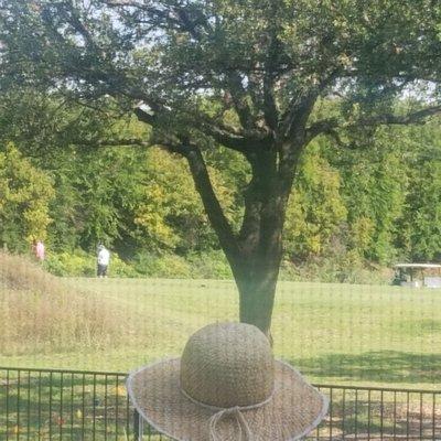 Two guys peeing at once at the 11th tee in front of my elderly mother. She came out to have breakfast in her backyard. Shameless.