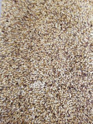 30L Crystal Malt