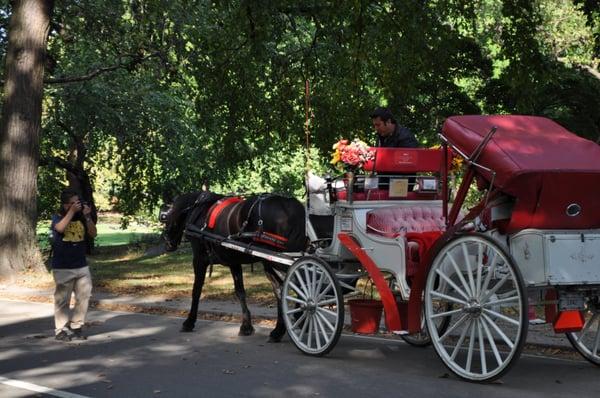 Free 45min Horse and Carriage ride with purchase of photo shoot.